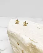 Shining Star Stud Earrings