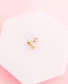 Screwback Stud Earrings - Leo Clear