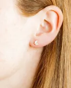 Screwback Stud Earrings - Nova