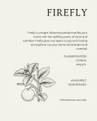 Body Oil