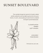 Body Oil