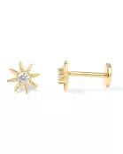 Dainty Screw Back Earrings