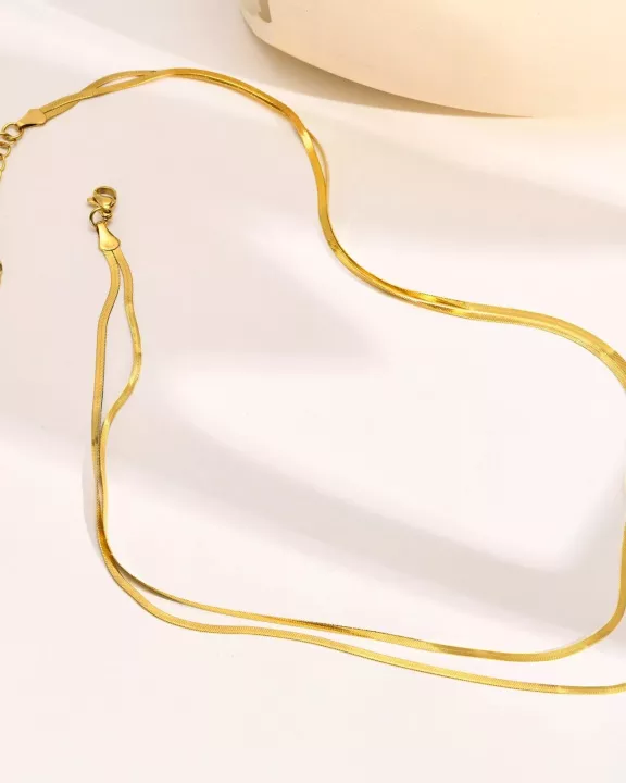 Double Layer Snake 18k Gold Plated Necklace