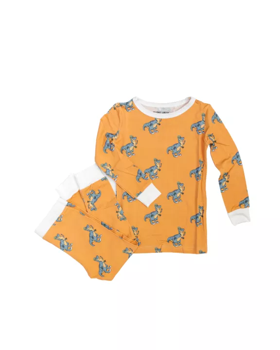 Dangerous Dino Kid Set