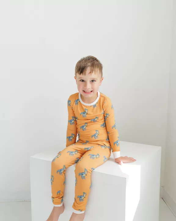 Dangerous Dino Kid Set