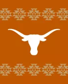 ART ONLY Tray Insert - Austin Texas Collection - GAMEDAY 11X17 LARGE
