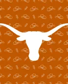ART ONLY Tray Insert - Austin Texas Collection - GAMEDAY 8.5x11 SMALL