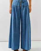 AJP5039 Front Button Down Flare Jeans