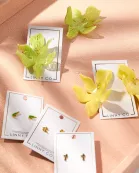 Screwback Stud Earrings - Martini