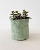 Storage Plant Basket: Pistachio