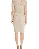 Adrianna Papell Boat Neck Short Sleeves Back Zipper Knee Length Beaded Dress