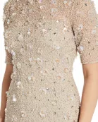 Adrianna Papell Boat Neck Short Sleeves Back Zipper Knee Length Beaded Dress