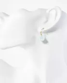 AB Coated Imitation Shell Pearl Dainty Dangle Earrings