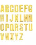 Scarf Slide Letters ~ Gold
