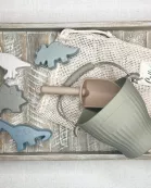 Dominic’s Dino Silicone Beach Toy Set