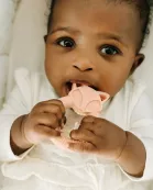 Fox Silicone Teether