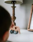 Rollin' Friends - Elephant