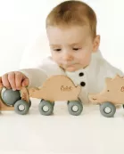 Rollin' Friends - Hedgehog