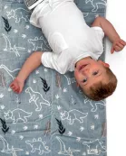 The Kenzie Beach Towel - Dinos