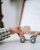 Rollin' Friends - Duck