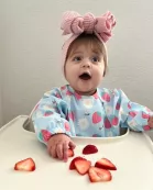 The Grayson Long Sleeve Bib - Strawberry Patch