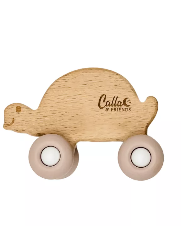 Rollin' Friends - Turtle