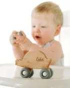 Rollin' Friends - Turtle