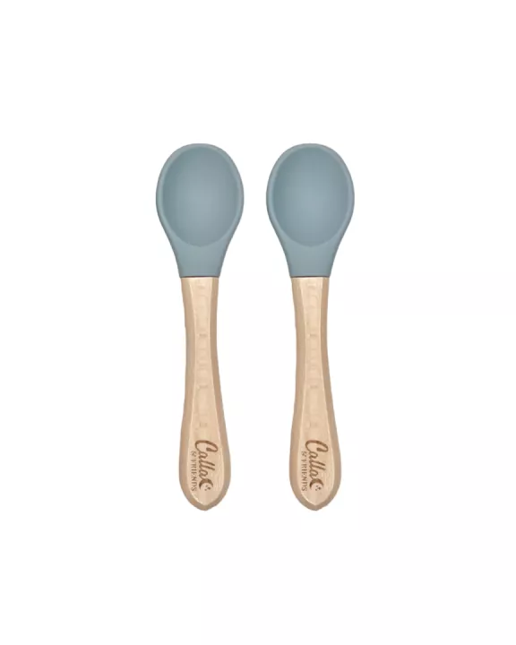 Silicone & Beechwood Toddler Spoons Set