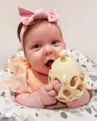 Garden Party Collection - Honey Bee Teether