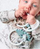 Dino Rings Silicone Teether