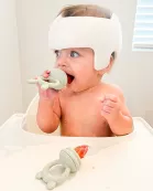 The Nourishing Nibbler Bear Feeder