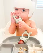 The Nourishing Nibbler Bear Feeder