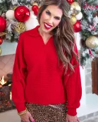 Zander Collared Sweater
