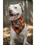 Ready to Ship | Halloween Dog Triangle Collar/Scarf*