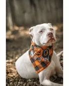 Ready to Ship | Halloween Dog Triangle Collar/Scarf*