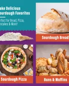 Sourdough Starter | Freeze Dried |  12gm