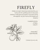 FREE SAMPLE - * See details *