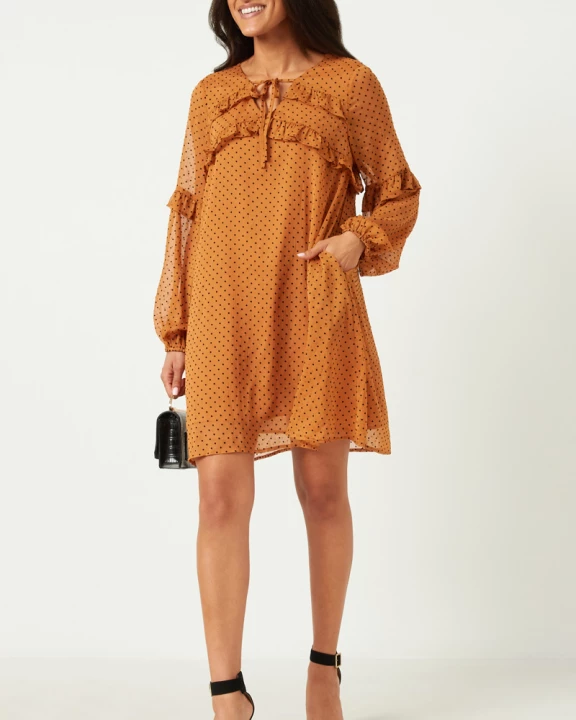 Womens Ruffled Detail Tie Neck Sheer Polka Dot Dress