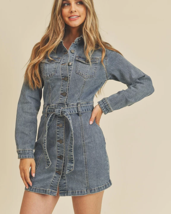 Slim Waisted Dress With Belt