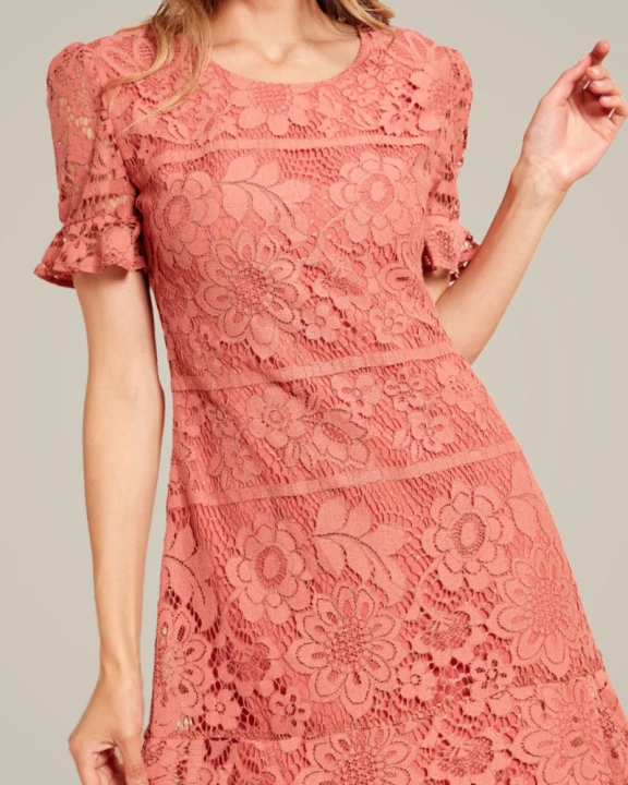 Lace short sleeve Crochet Mini Dress