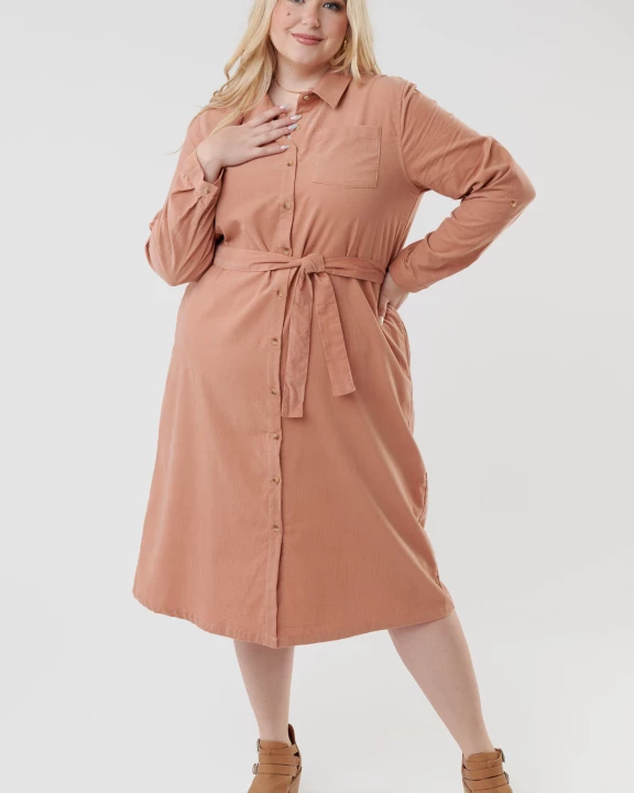 Button Down Corduroy Dress