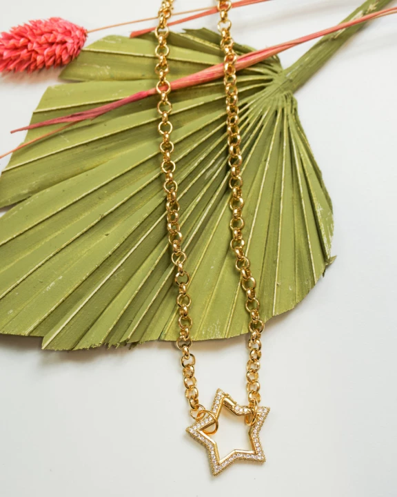 Star Spring Clasp Necklace
