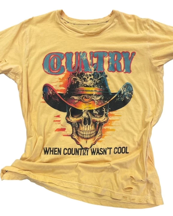 Country When Country Wasn't Cool DestT