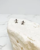 Shining Star Stud Earrings